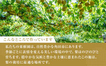 【2026年発送分&nbsp;先行予約】【梨の定期便／全2回発送】和梨2カ月連続お届け&nbsp;5kg（品種おまかせ）