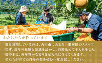 【2026年発送分&nbsp;先行予約】【梨の定期便／全2回発送】和梨2カ月連続お届け&nbsp;5kg（品種おまかせ）