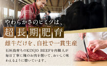 石垣牛【KINJO&nbsp;BEEF】ミンチカツ（80g×6個）