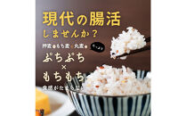 麦の恵み24穀米ブレンド&nbsp;8kg(800g×10袋)
