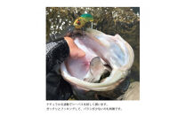 コアマン&nbsp;VJ-16バイブレーションジグヘッド&nbsp;KOBEスペシャルパッケージ&nbsp;3個セット