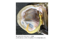 コアマン&nbsp;VJ-22バイブレーションジグヘッド&nbsp;KOBEスペシャルパッケージ&nbsp;3個セット