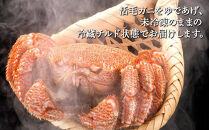 【先行予約】北海道オホーツク産海明け活毛ガニ　ボイル未冷凍配送(チルド&nbsp;冷蔵配送)　600g前後　1尾（2026年3月下旬から発送予定）_05668