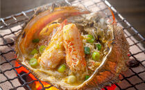 【先行予約】北海道オホーツク産海明け活毛ガニ　ボイル未冷凍配送(チルド&nbsp;冷蔵配送)　600g前後　1尾（2026年3月下旬から発送予定）_05668