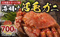 【先行予約】北海道オホーツク産海明け活毛ガニ　ボイル未冷凍配送(チルド&nbsp;冷蔵配送)　700g前後　1尾（2026年3月下旬から発送予定）_05669