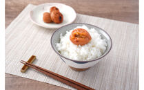 無添加梅干し&nbsp;ひょう被害エール規格外はちみつ梅干し&nbsp;1kg(500gパック×2個)&nbsp;塩分6%&nbsp;甘酸っぱい&nbsp;蜂蜜漬け&nbsp;6-HYO&nbsp;［KU12］