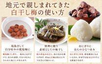 規格外品&nbsp;無添加&nbsp;栽培期間中農薬不使用&nbsp;昔ながらの梅干し&nbsp;紀州南高梅&nbsp;塩のみで漬けたすっぱい梅干し&nbsp;800g（400gパック×2個）塩分約23%&nbsp;3年熟成品&nbsp;N20-K&nbsp;［KU8］