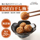 無添加&nbsp;塩だけ&nbsp;昔ながらの梅干し&nbsp;南高梅&nbsp;紀州梅香&nbsp;完熟&nbsp;白干し梅&nbsp;訳あり&nbsp;つぶれ梅1kg&nbsp;（500gパック×2個）&nbsp;塩分20%&nbsp;20-G&nbsp;［KU14］