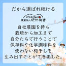 無添加&nbsp;塩だけ&nbsp;昔ながらの梅干し&nbsp;南高梅&nbsp;紀州梅香&nbsp;完熟&nbsp;白干し梅&nbsp;訳あり&nbsp;つぶれ梅1kg&nbsp;（500gパック×2個）&nbsp;塩分20%&nbsp;20-G&nbsp;［KU14］