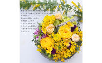 季節限定ガトーシャルマント「ミモザケーキ」&nbsp;期間限定ミモザケーキ&nbsp;アレンジ&nbsp;サプライズ&nbsp;誕生日&nbsp;成人式&nbsp;卒業祝い&nbsp;初節句&nbsp;ひな祭り&nbsp;バレンタイン&nbsp;お返し&nbsp;「ガトーシャルマント」プレゼント&nbsp;フラワーケーキ&nbsp;アレンジ&nbsp;送料無料&nbsp;ケーキBOX入り&nbsp;生花&nbsp;フラワー&nbsp;ギフト&nbsp;記念日&nbsp;結婚&nbsp;マカロン