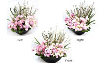 『Pink&nbsp;Symphony』&nbsp;ピンク・シンフォニー&nbsp;開店祝い&nbsp;オーダーメイド&nbsp;プレゼント&nbsp;送別会&nbsp;歓迎会&nbsp;退職祝い&nbsp;送別&nbsp;お見舞い&nbsp;アレンジ&nbsp;送料無料