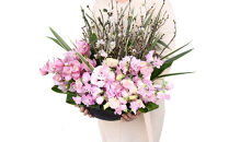 『Pink&nbsp;Symphony』&nbsp;ピンク・シンフォニー&nbsp;開店祝い&nbsp;オーダーメイド&nbsp;プレゼント&nbsp;送別会&nbsp;歓迎会&nbsp;退職祝い&nbsp;送別&nbsp;お見舞い&nbsp;アレンジ&nbsp;送料無料