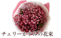 チェリーかすみの花束&nbsp;かすみ草&nbsp;カスミソウ&nbsp;花束&nbsp;花&nbsp;誕生日&nbsp;成人式&nbsp;卒業祝い&nbsp;初節句&nbsp;ひな祭り&nbsp;バレンタイン&nbsp;お返し&nbsp;結婚&nbsp;ウエディング&nbsp;送別&nbsp;祝い&nbsp;プレゼント&nbsp;結婚祝い&nbsp;お礼&nbsp;花束&nbsp;赤いかすみ草&nbsp;チェリー&nbsp;レッド&nbsp;生花ドライフラワーにも&nbsp;送料無料&nbsp;お母さん&nbsp;記念日