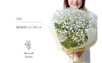 かすみそうの花束&nbsp;かすみ草&nbsp;カスミソウ&nbsp;花束(小さいサイズ)&nbsp;花&nbsp;誕生日&nbsp;成人式&nbsp;卒業祝い&nbsp;初節句&nbsp;ひな祭り&nbsp;バレンタイン&nbsp;お返し&nbsp;結婚&nbsp;ウエディング&nbsp;送別&nbsp;祝い&nbsp;プレゼント&nbsp;ギフト&nbsp;結婚祝い&nbsp;お礼&nbsp;花束&nbsp;生花&nbsp;ドライフラワーにも&nbsp;送料無料&nbsp;退職祝い&nbsp;お母さん&nbsp;記念日