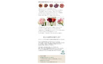 ローズアラモード&nbsp;ブーケタイプ&nbsp;ピンク&nbsp;誕生日&nbsp;送別&nbsp;退職&nbsp;卒業&nbsp;ギフト&nbsp;生花&nbsp;花束&nbsp;プレゼント&nbsp;フラワーギフト&nbsp;バラ&nbsp;ローズ・アラ・モード&nbsp;花束&nbsp;ブーケ&nbsp;結婚&nbsp;お祝い&nbsp;お母さん&nbsp;フラワー&nbsp;定年&nbsp;退職&nbsp;ブーケ&nbsp;結婚記念日&nbsp;プリティマーメイド&nbsp;送料無料&nbsp;卒業式