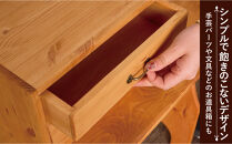 A4書類ケース2段&nbsp;タテ型　【アーミッシュ色】