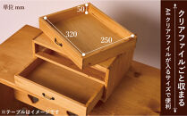 A4書類ケース2段&nbsp;ヨコ型&nbsp;【アーミッシュ色】