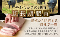 【焼肉金城】石垣島アグー豚ハンバーグ8個セット