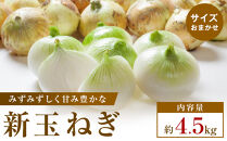 【2026年3月~5月発送】この時期にしか味わえない、みずみずしく甘み豊かな「新玉ねぎ」約4.5kg