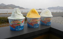 【4月発送】ジェラート18個&nbsp;しまなみ・瀬戸田の素材がたっぷり！