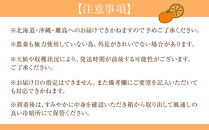 贈答用&nbsp;森本農園の手選別&nbsp;不知火&nbsp;約4.5kg&nbsp;和歌山県産&nbsp;&nbsp;2L～3Lサイズ［北海道・沖縄・離島配送不可］［RN133］［2027年2月上旬から順次発送］