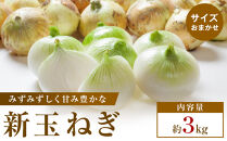 【2026年3月~5月発送】この時期にしか味わえない、みずみずしく甘み豊かな「新玉ねぎ」　約3kg
