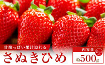 【大収穫祭・感謝企画】数量限定!!さぬきひめいちご　約500g