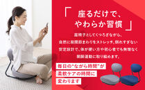 Re&nbsp;STReTCH　開脚チェア&nbsp;【ネイビー】