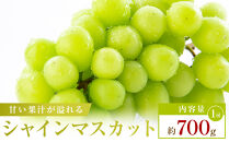 【食べきりサイズ】シャインマスカット　約700g