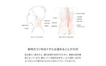 &MEDICAL&nbsp;LUMICARE&nbsp;body