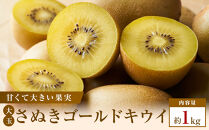 【数量限定500セット】超大玉さぬきゴールドキウイ　約1kg