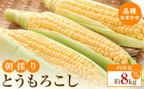【2026年6月上旬から順次発送】太物2Lサイズ以上　朝採り&nbsp;とうもろこし(品種おまかせ)約8kg