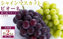 【満足セット】ご家庭用　シャインマスカット+ピオーネ食べ比べセット　約2kg(各1～3房)