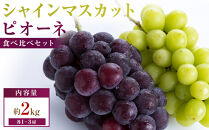 【満足セット】人気の2品種　シャインマスカット+ピオーネ食べ比べセット　約2kg(各1～3房)