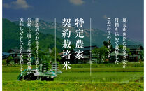 雪温精法&nbsp;南魚沼産こしひかり3kg&nbsp;契約栽培&nbsp;&nbsp;雪蔵貯蔵米