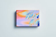 チョコレートバンク&nbsp;BANK&nbsp;BonBon&nbsp;1箱6粒入り&nbsp;パインココナッツ&nbsp;冷凍