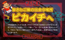 名古屋うま辛豪華味&nbsp;ピカイチラーメン（５箱１０食セット）