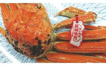カニ&nbsp;松葉ガニ&nbsp;ボイル&nbsp;冷凍&nbsp;カニ酢付き&nbsp;1枚(約500g)