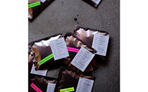 鎌倉&nbsp;自家焙煎&nbsp;厳選スペシャルティコーヒー&nbsp;ドリップバッグセット&nbsp;シングルオリジン&nbsp;おまかせ飲み比べ3種&nbsp;15点（各5点×3種）