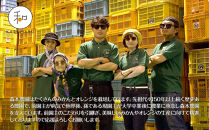 訳あり&nbsp;森本農園の手選別&nbsp;津の輝&nbsp;約10kg&nbsp;和歌山県産&nbsp;サイズ混合［北海道・沖縄・離島配送不可］［RN152］