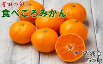 有田の旬の食べごろみかん約5kg（サイズ混合）（秀・優品混合）★2026年11月下旬頃より順次発送