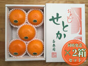 ［2箱セット］ハーフ&nbsp;化粧箱&nbsp;柑橘の大トロ&nbsp;ハウス&nbsp;せとか&nbsp;厳選&nbsp;5玉入&nbsp;×&nbsp;2箱&nbsp;南泰園