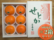 ［2箱セット］ハーフ&nbsp;化粧箱&nbsp;柑橘の大トロ&nbsp;ハウス&nbsp;せとか&nbsp;厳選&nbsp;6玉入&nbsp;×&nbsp;2箱&nbsp;南泰園