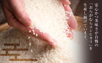 【予約受付】【令和７年米】長野県宮田村産コシヒカリ／精米／27kg・57,000円／令和８年5月配送