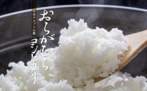 【予約受付】【令和７年米】長野県宮田村産コシヒカリ／精米／27kg・57,000円／令和８年5月配送