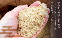 【予約受付】【令和７年米】長野県宮田村産コシヒカリ／玄米／30kg・57,000円／令和８年5月配送