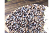 素材そのまま　自然のうまみ調味料　さとの豊味&nbsp;黒糖バージョン2袋