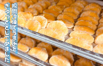 冷凍&nbsp;不知火&nbsp;（しらぬい）&nbsp;70g&nbsp;×&nbsp;5袋&nbsp;ひとくちデザート&nbsp;カチウマ&nbsp;スイーツ&nbsp;果物&nbsp;旬の味わい&nbsp;和歌山県産不知火100%