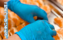 冷凍&nbsp;不知火&nbsp;（しらぬい）&nbsp;70g&nbsp;×&nbsp;10袋&nbsp;ひとくちデザート&nbsp;カチウマ&nbsp;スイーツ&nbsp;果物&nbsp;旬の味わい&nbsp;和歌山県産不知火100%