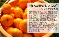 みかん&nbsp;春待ち&nbsp;越冬みかん&nbsp;箱込2.5kg(内容量2.3kg)&nbsp;等級／サイズミックス&nbsp;和歌山県産&nbsp;産地直送